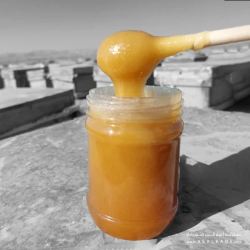 عسل محرمانه خام ارگانیک